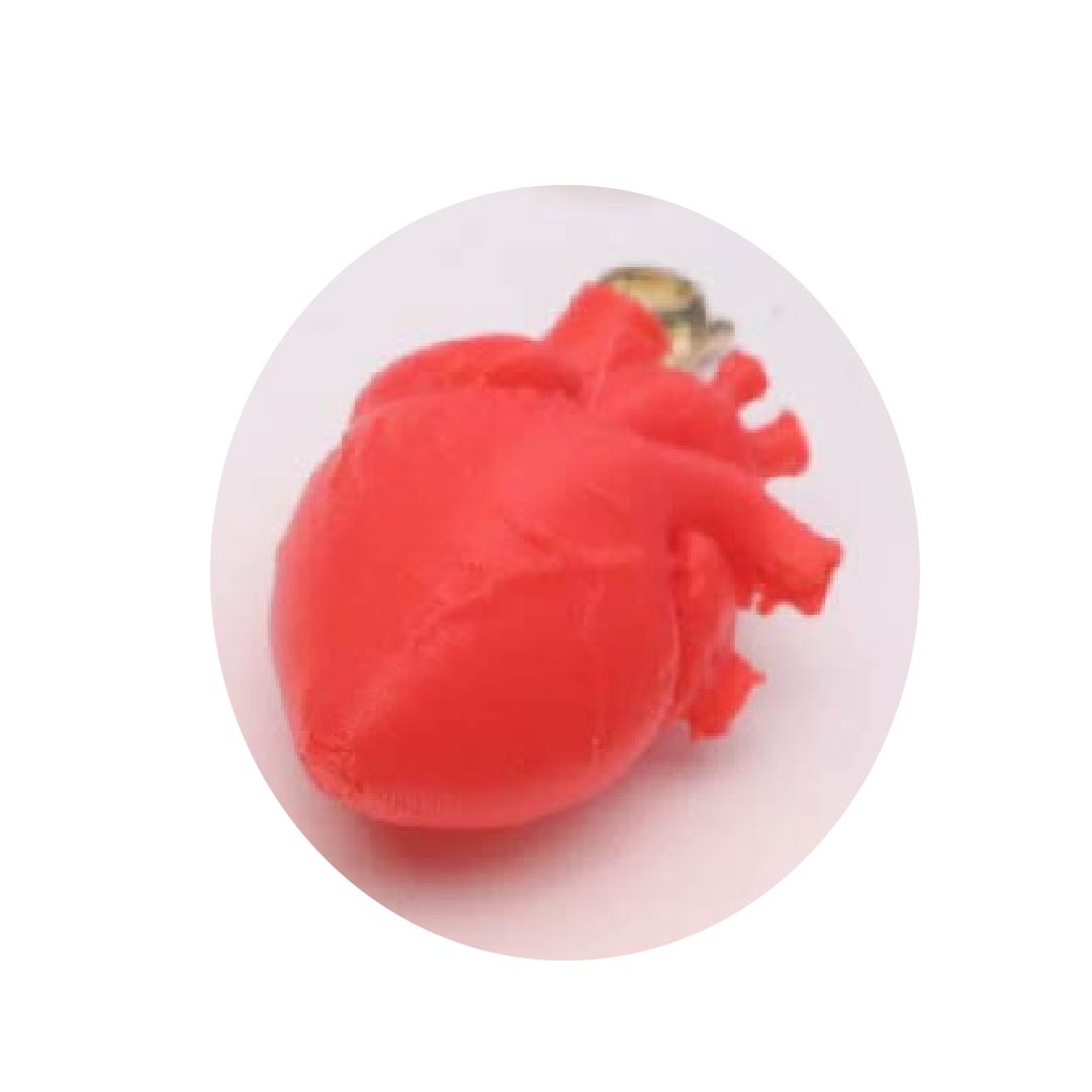 Corazón Anatómico Grande