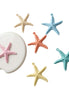 Estrella de Mar