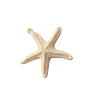 Estrella de Mar