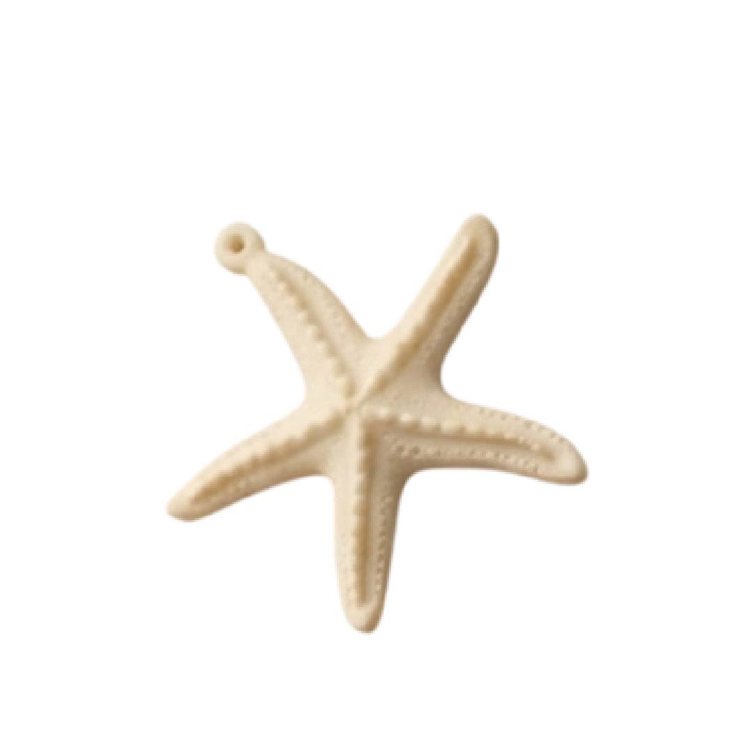 Estrella de Mar