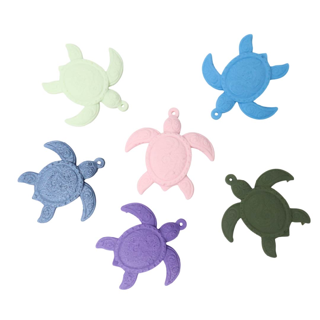 Tortuga