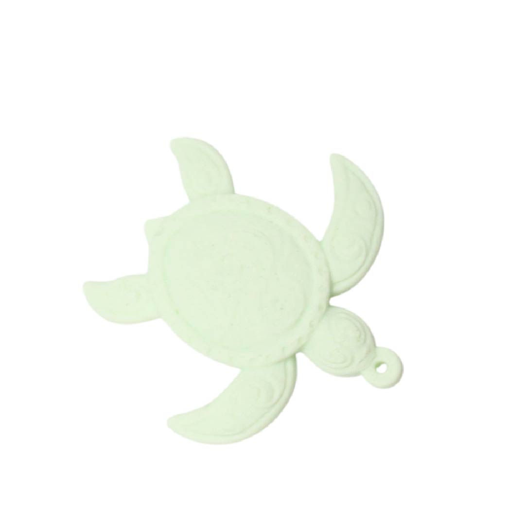 Tortuga