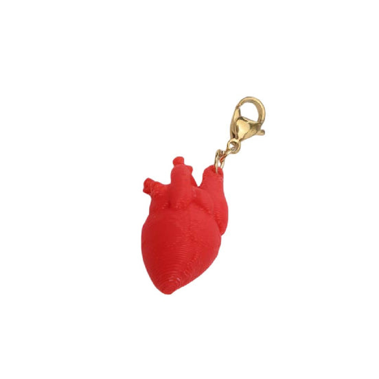 Corazón Humano